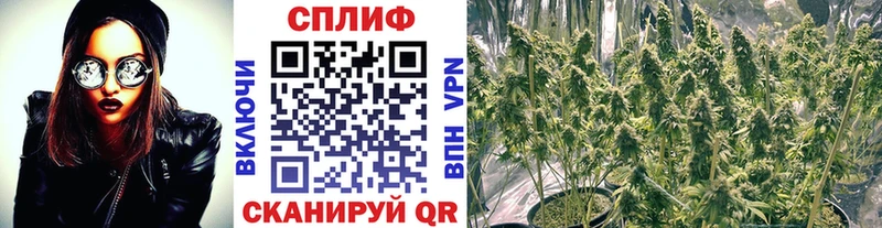 Купить закладку ГАШИШ  Канабис  Галлюциногенные грибы  Меф  Глазов