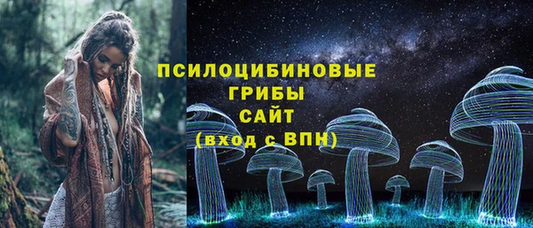 spice Алзамай