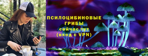 spice Алзамай